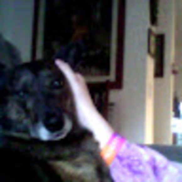 Meet your Posher, Pimboli - Picture 1 of 1